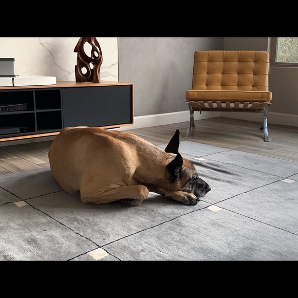 Meet your Posher, Jan - Picture 2 of 2